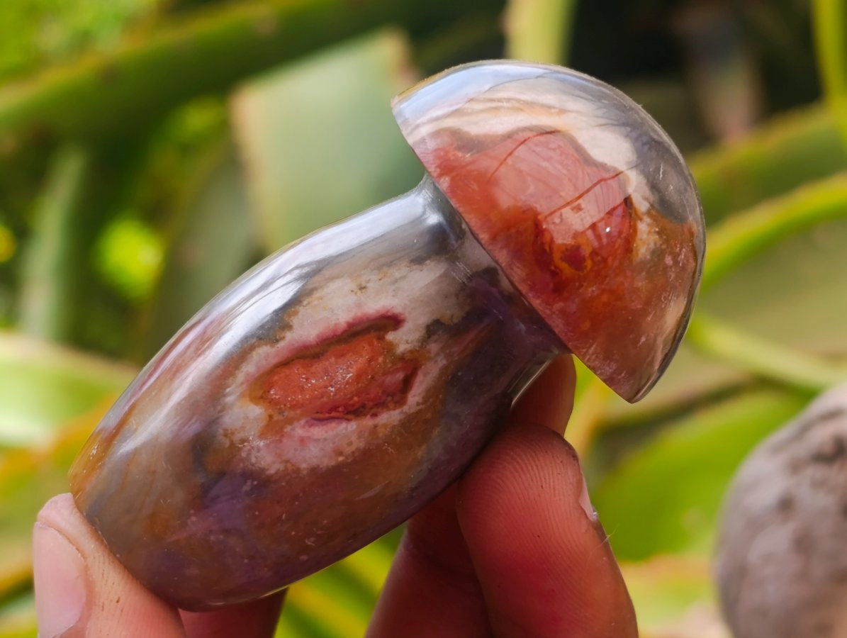 Polished Polychrome Jasper Mushrooms x 12 From NW Coast, Madagascar