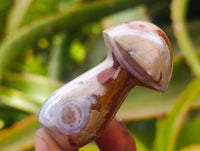 Polished Polychrome Jasper Mushrooms x 12 From NW Coast, Madagascar