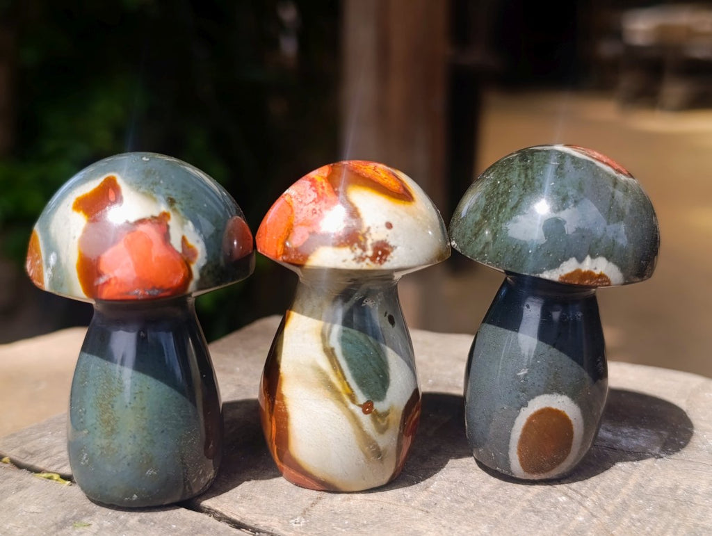 Polished Polychrome Jasper Mushrooms x 12 From NW Coast, Madagascar