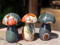Polished Polychrome Jasper Mushrooms x 12 From NW Coast, Madagascar