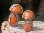 Polished Polychrome Jasper Mushrooms x 12 From NW Coast, Madagascar
