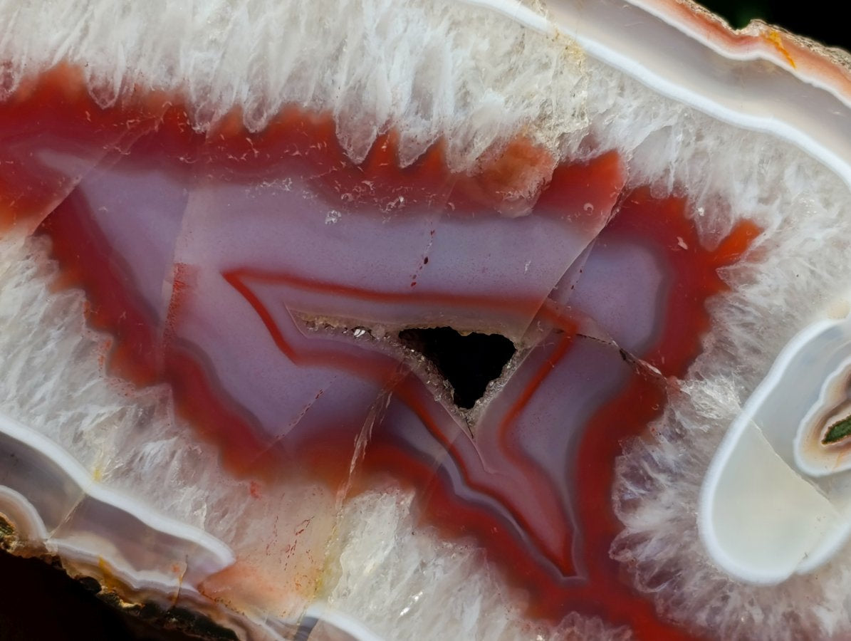 Polished XL On One Side Red Shashe River Agate Nodule x 1 From Shashe River, Zimbabwe