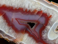 Polished XL On One Side Red Shashe River Agate Nodule x 1 From Shashe River, Zimbabwe