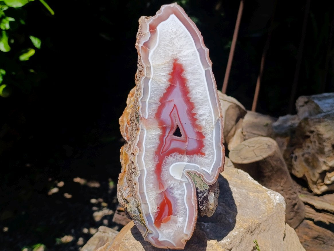 Polished XL On One Side Red Shashe River Agate Nodule x 1 From Shashe River, Zimbabwe