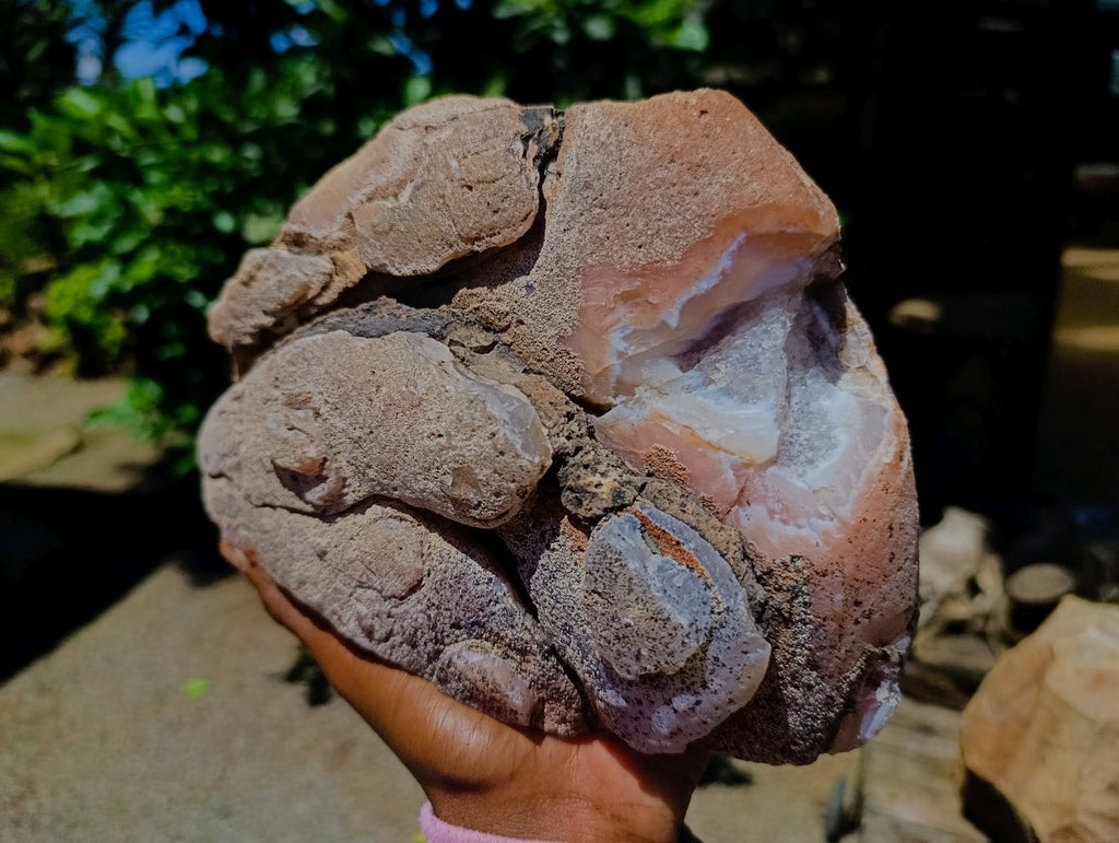 Polished XL On One Side Red Shashe River Agate Nodule x 1 From Shashe River, Zimbabwe