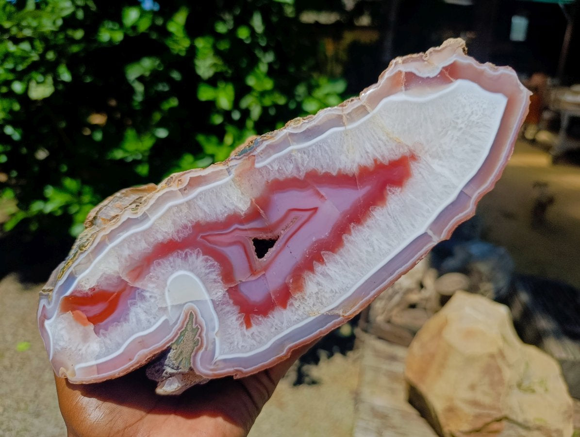 Polished XL On One Side Red Shashe River Agate Nodule x 1 From Shashe River, Zimbabwe