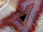 Polished XL On One Side Red Shashe River Agate Nodule x 1 From Shashe River, Zimbabwe