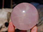 Polished Gemmy Star Rose Quartz Spheres x 6 From Madagascar