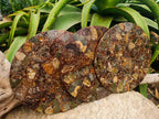 Hand Made Ammonite Conglomerate Display Plaques x 3 From Mahajanga, Madagascar - Toprock Gemstones and Minerals 