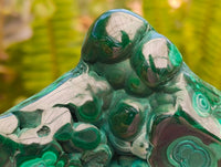 Polished Flower Banded Malachite Free Forms x 4 From Congo