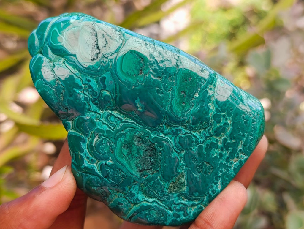 Polished Flower Banded Malachite Free Forms x 4 From Congo - Toprock Gemstones and Minerals 