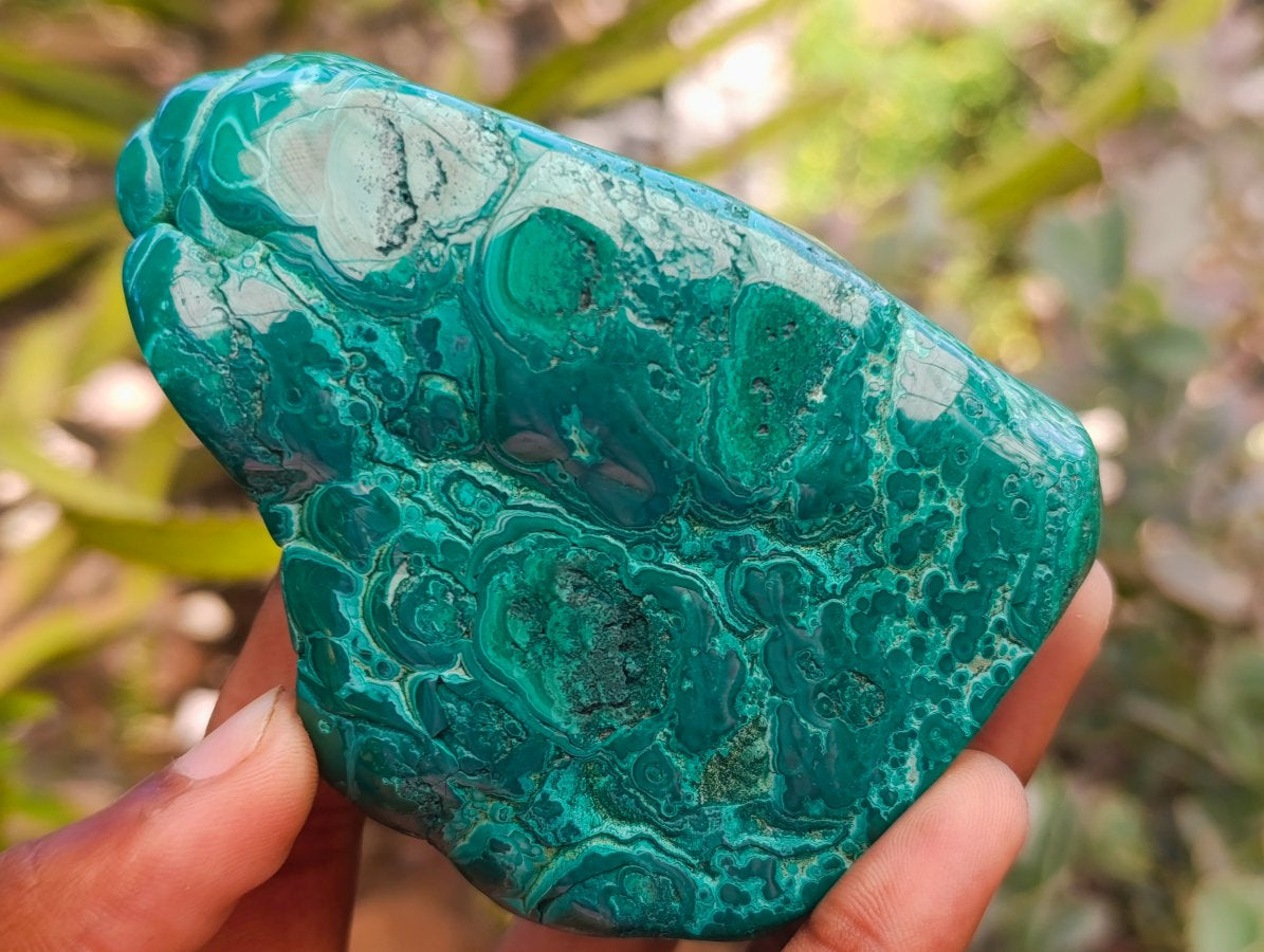 Polished Flower Banded Malachite Free Forms x 4 From Congo