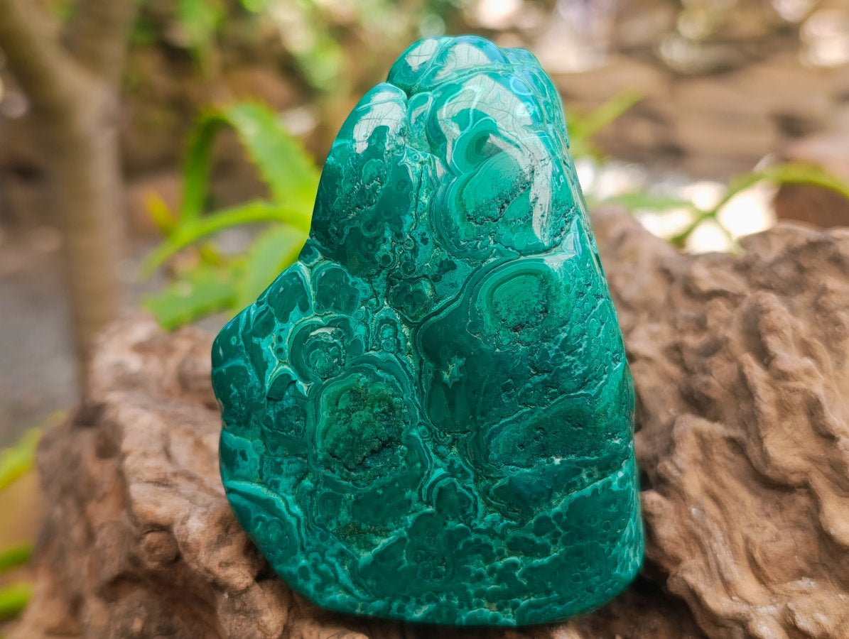 Polished Flower Banded Malachite Free Forms x 4 From Congo