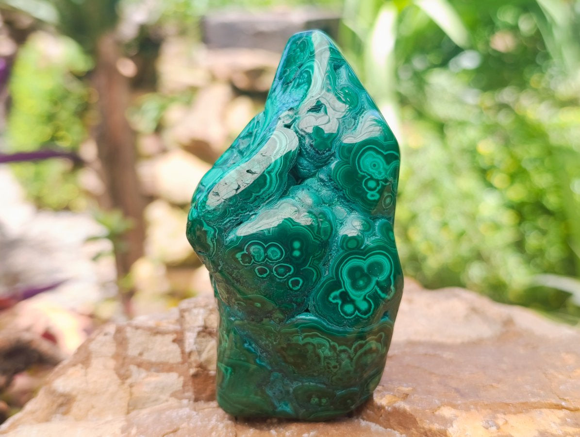 Polished Flower Banded Malachite Free Forms x 4 From Congo