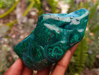 Polished Flower Banded Malachite Free Forms x 4 From Congo