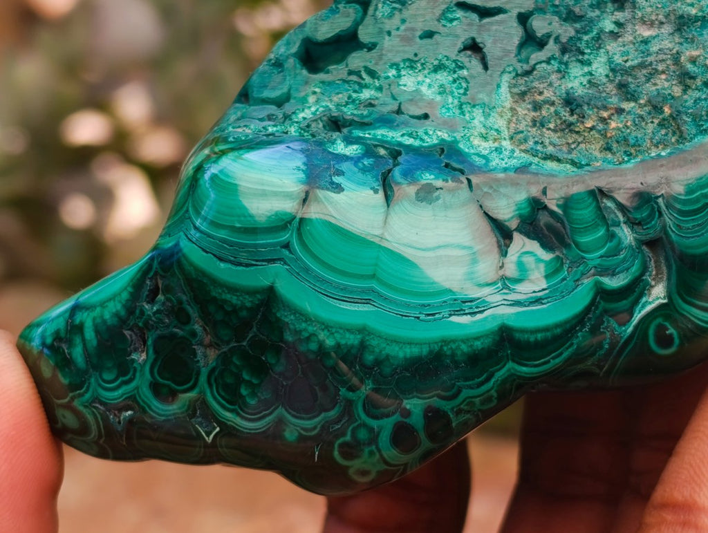 Polished Flower Banded Malachite Free Forms x 4 From Congo - Toprock Gemstones and Minerals 