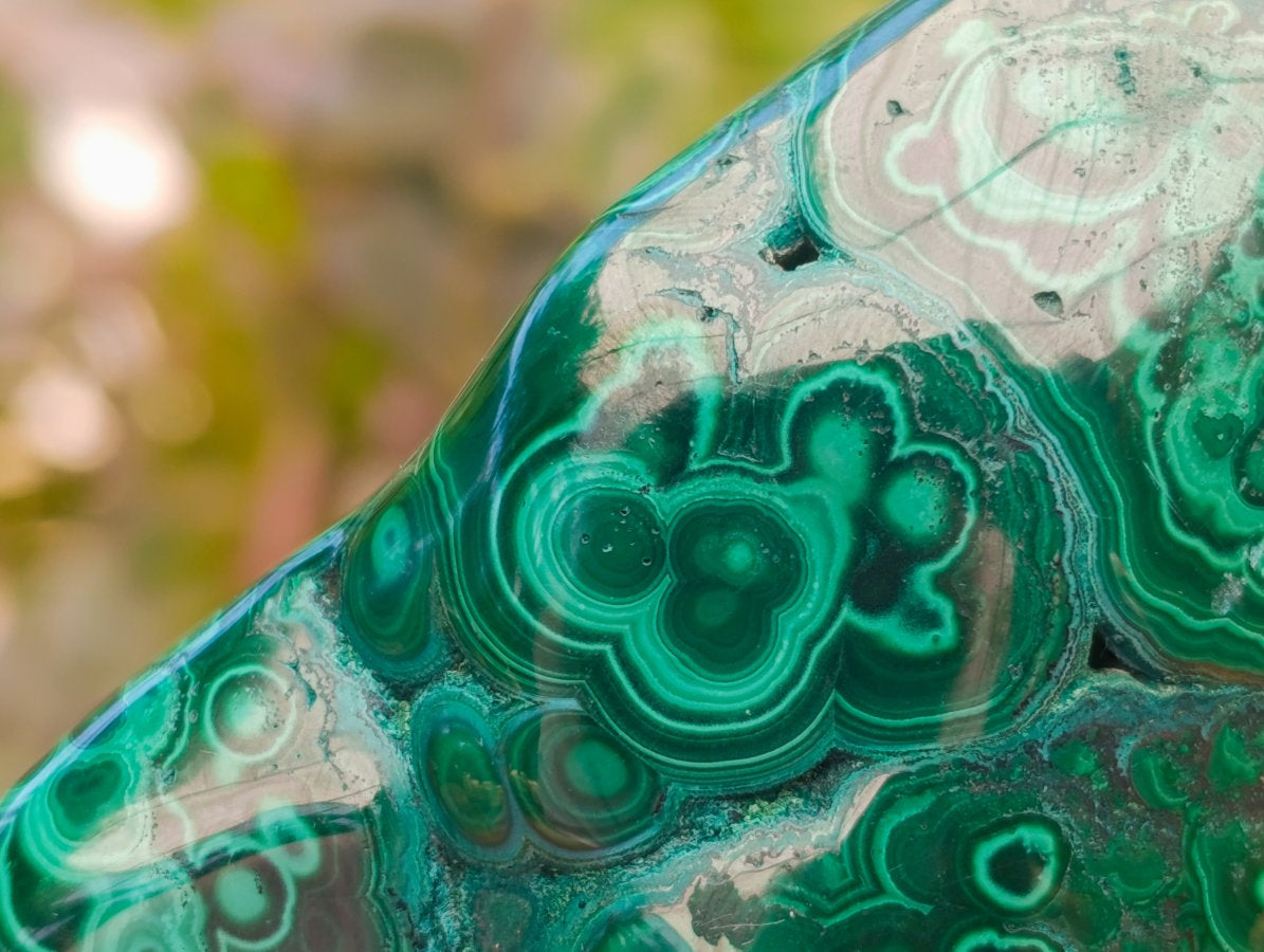 Polished Flower Banded Malachite Free Forms x 4 From Congo