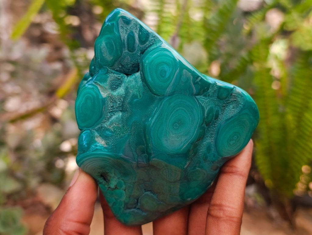Polished Flower Banded Malachite Free Forms x 4 From Congo - Toprock Gemstones and Minerals 