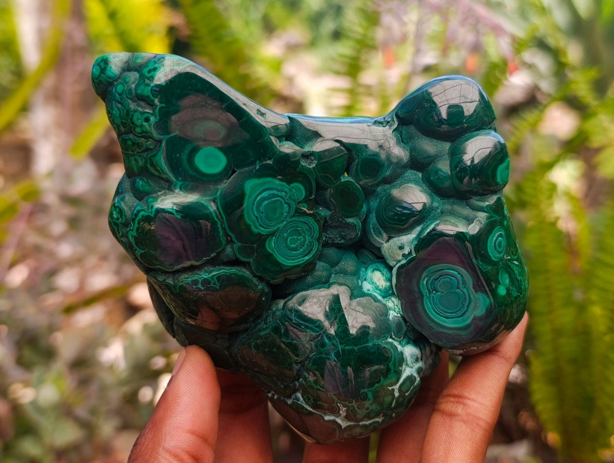 Polished Flower Banded Malachite Free Forms x 4 From Congo