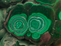 Polished Flower Banded Malachite Free Forms x 4 From Congo - Toprock Gemstones and Minerals 