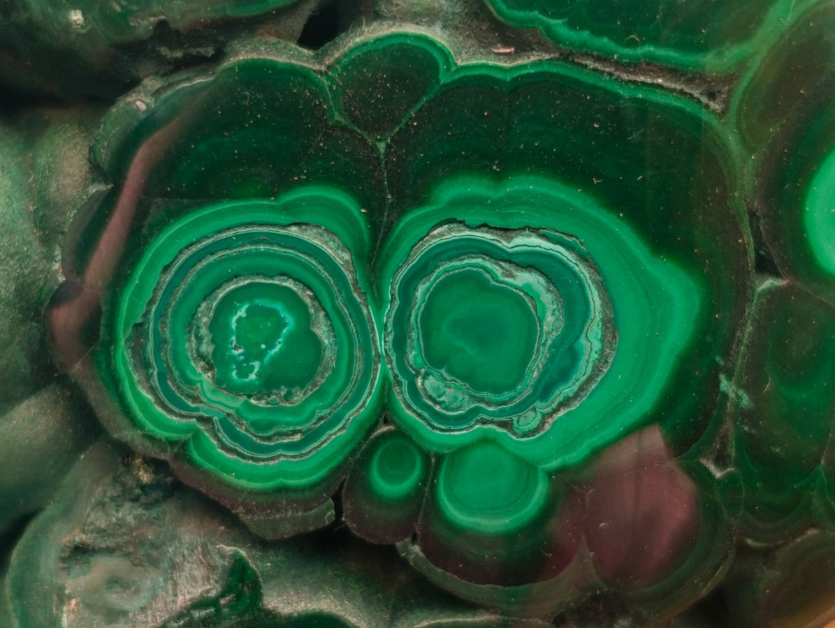Polished Flower Banded Malachite Free Forms x 4 From Congo