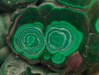 Polished Flower Banded Malachite Free Forms x 4 From Congo