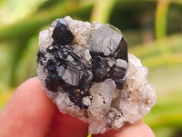Natural Schorl Black Tourmaline Specimens x 35 From Erongo, Namibia
