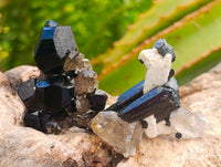 Natural Schorl Black Tourmaline Specimens x 35 From Erongo, Namibia