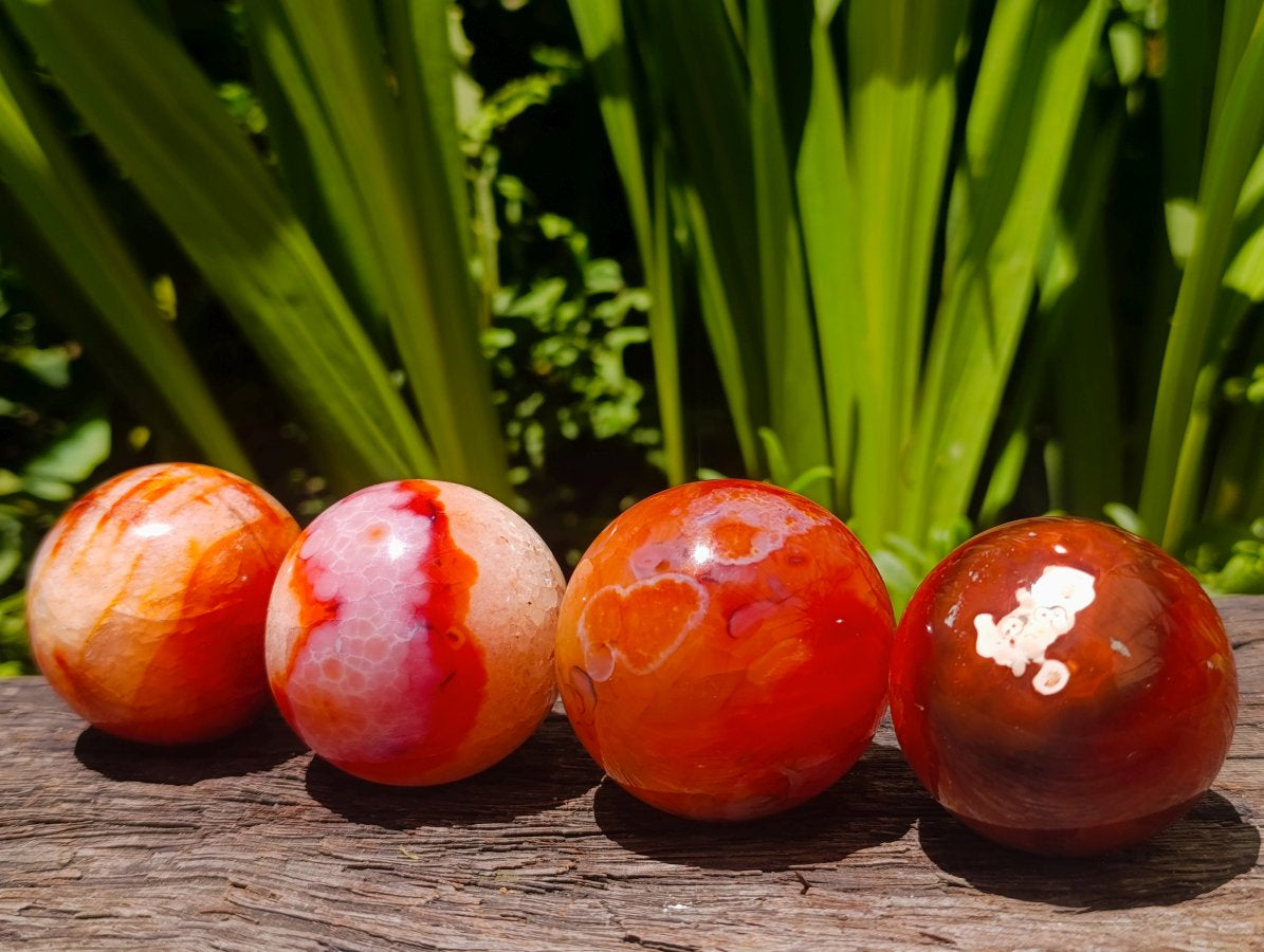Polished Carnelian Agate Gemstone Spheres x 12 From Madagascar