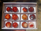 Polished Carnelian Agate Gemstone Spheres x 12 From Madagascar