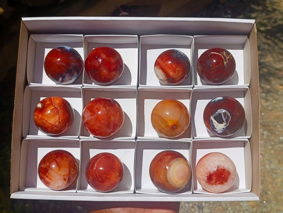 Polished Carnelian Agate Gemstone Spheres x 12 From Madagascar