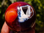 Polished Carnelian Agate Gemstone Spheres x 12 From Madagascar