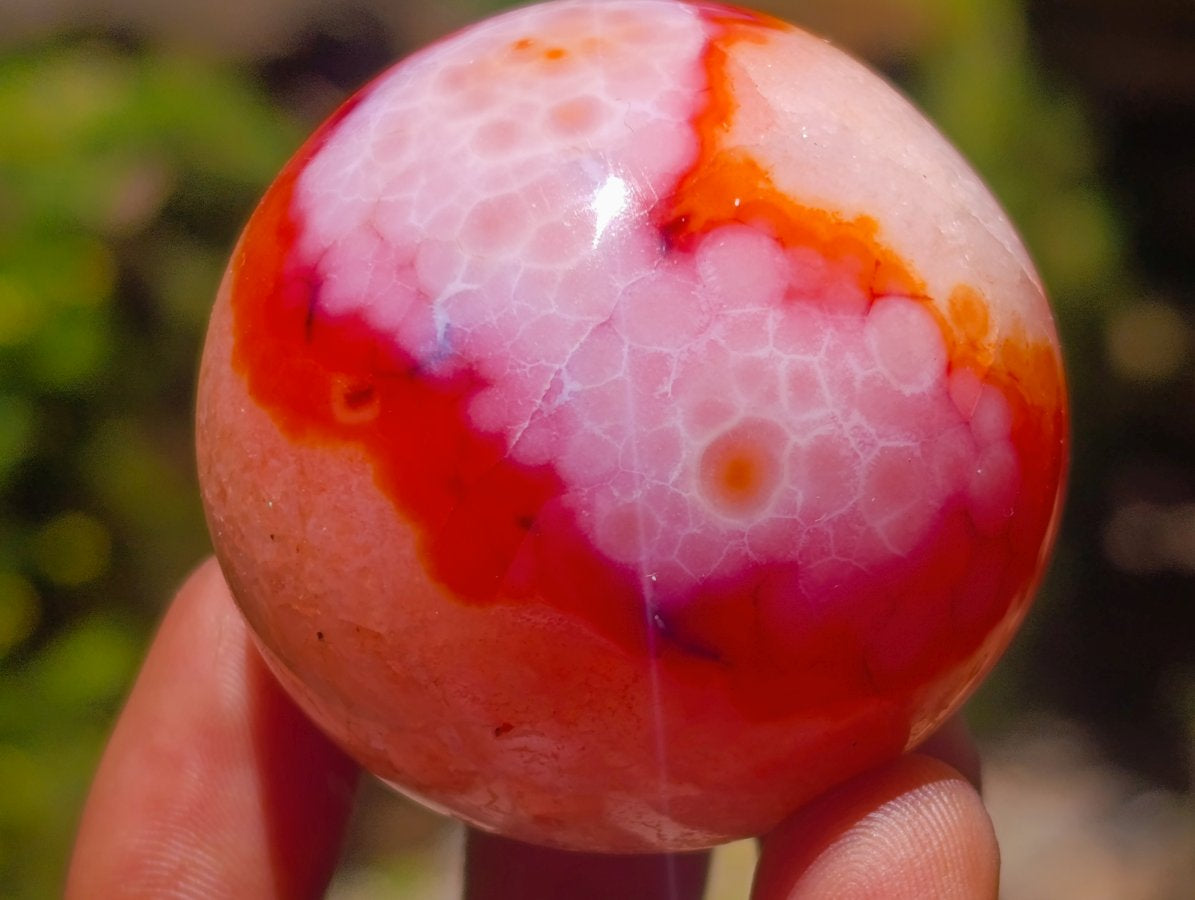 Polished Carnelian Agate Gemstone Spheres x 12 From Madagascar