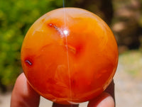 Polished Carnelian Agate Gemstone Spheres x 12 From Madagascar