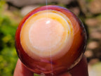 Polished Carnelian Agate Gemstone Spheres x 12 From Madagascar