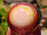 Polished Carnelian Agate Gemstone Spheres x 12 From Madagascar