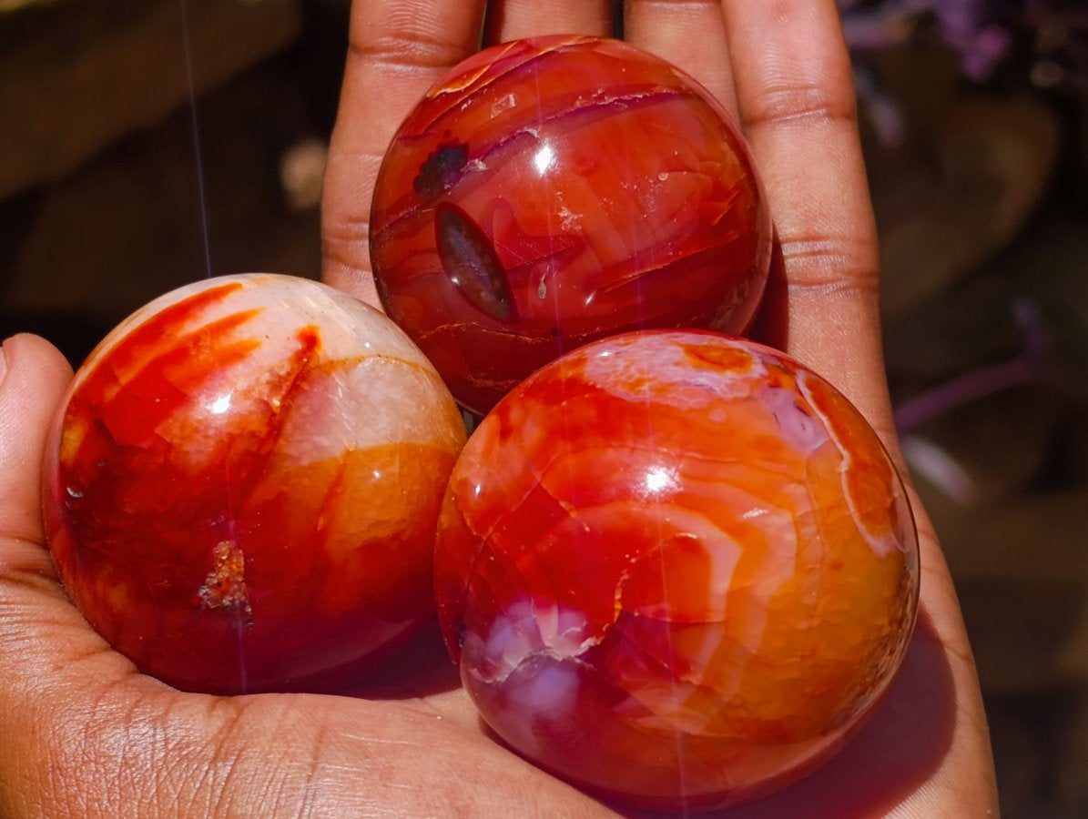 Polished Carnelian Agate Gemstone Spheres x 12 From Madagascar