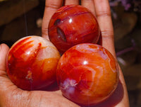 Polished Carnelian Agate Gemstone Spheres x 12 From Madagascar