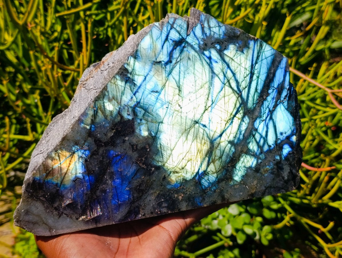 Polished On One Side Labradorite Display Piece x 1 From Madagascar