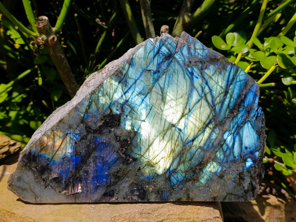 Polished On One Side Labradorite Display Piece x 1 From Madagascar