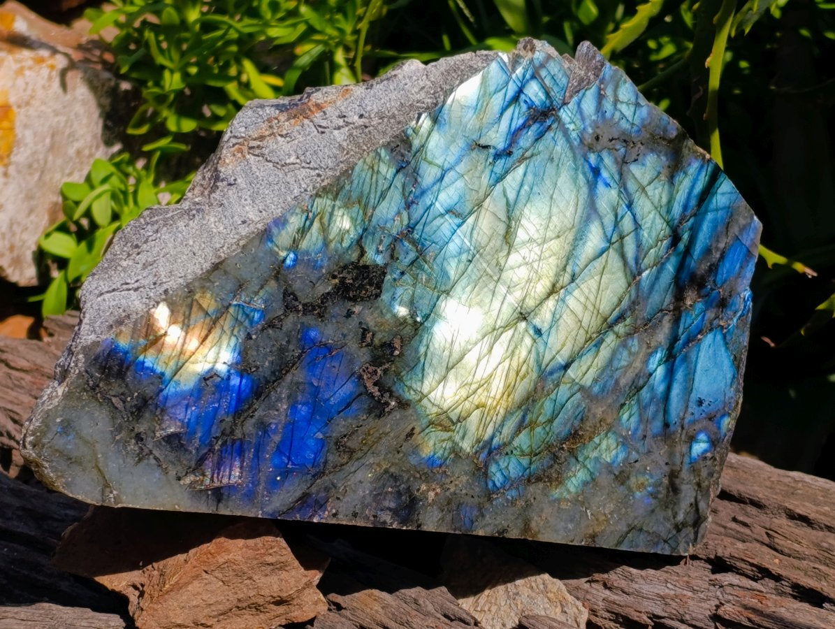 Polished On One Side Labradorite Display Piece x 1 From Madagascar