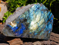 Polished On One Side Labradorite Display Piece x 1 From Madagascar