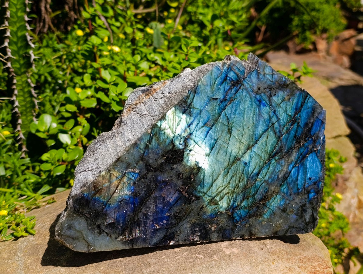 Polished On One Side Labradorite Display Piece x 1 From Madagascar