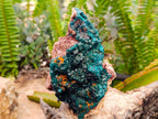 Natural Dioptase On Dolomite Specimen x 1 From Likasi, Congo