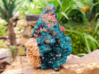 Natural Dioptase On Dolomite Specimen x 1 From Likasi, Congo