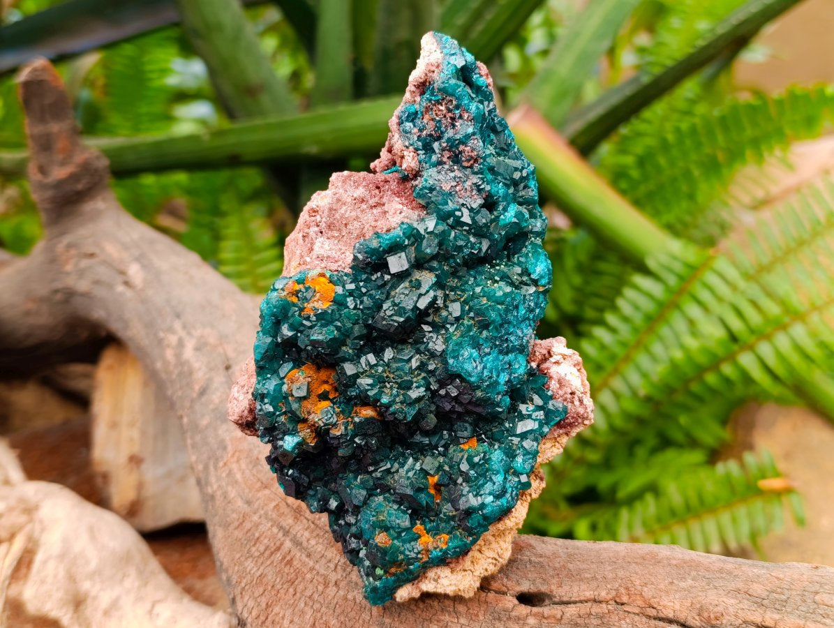 Natural Dioptase On Dolomite Specimen x 1 From Likasi, Congo