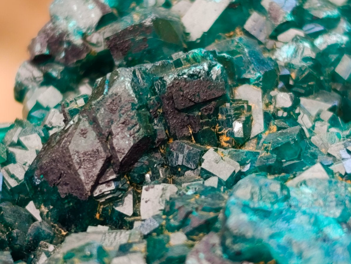 Natural Dioptase On Dolomite Specimen x 1 From Likasi, Congo