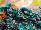 Natural Dioptase On Dolomite Specimen x 1 From Likasi, Congo