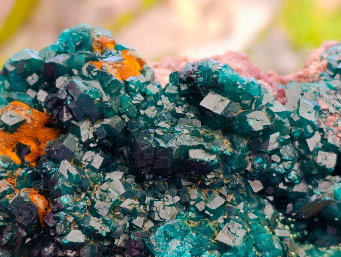 Natural Dioptase On Dolomite Specimen x 1 From Likasi, Congo