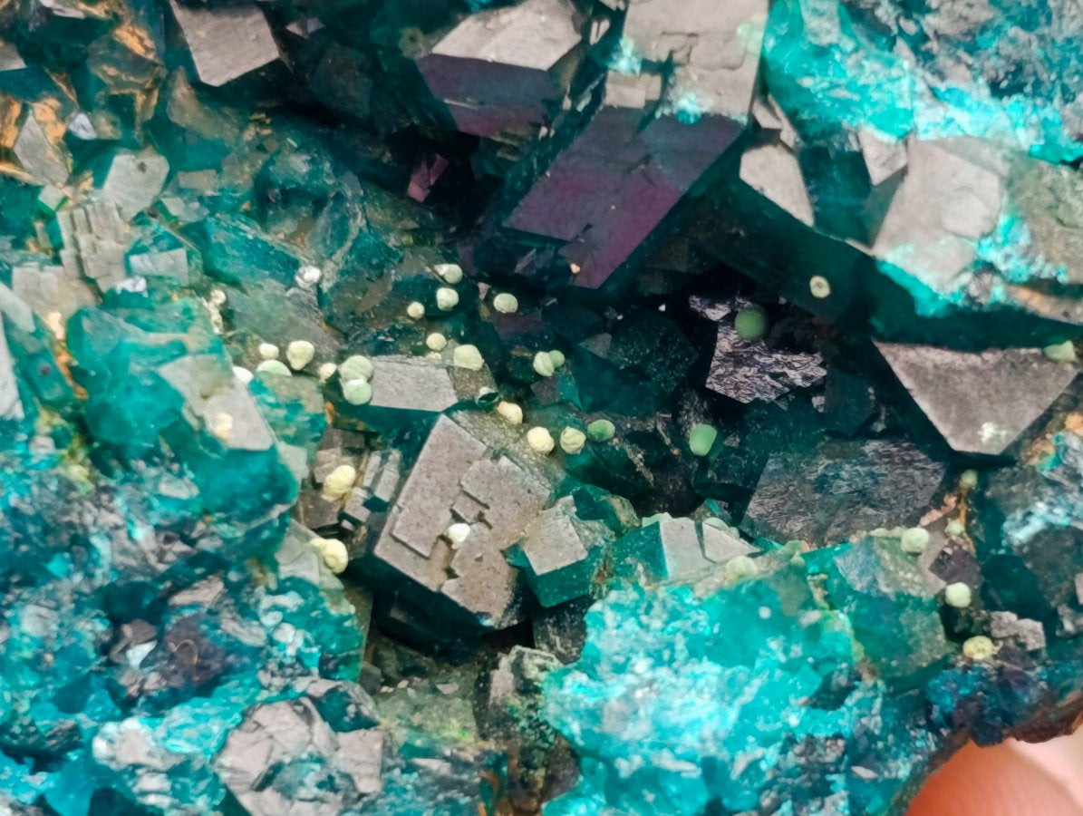 Natural Dioptase On Dolomite Specimen x 1 From Likasi, Congo